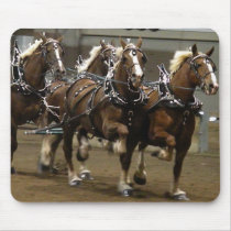 Belgian team in harness mousepad