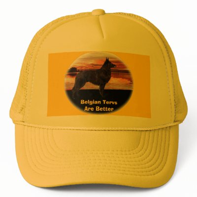 Belgian Terv Hat by knewfy