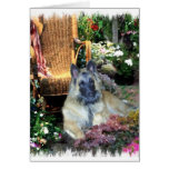 Belgian Tervuren Art Gifts Card