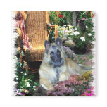Belgian Tervuren Art Gifts Magnet