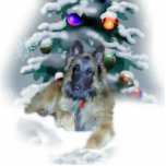 Belgian Tervuren Christmas Gifts Ornament photo sculptures
