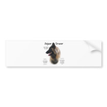 Belgian Tervuren History Design