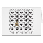 Belgian Tervuren in the Sheep Greeting Card