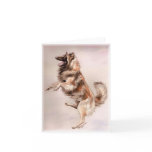 Belgian Tervuren Jump! cards