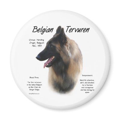 Belgian Tervuren Meet the Breed - Magnet by GreyWolfCreation