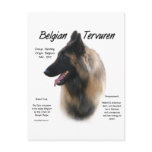 Belgian Tervuren Meet the Breed
