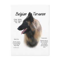Belgian Tervuren Meet the Breed
