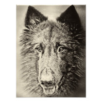 Belgian Tervuren Photo Art