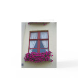 Belgian window notecard