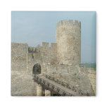 Belgrade Castle