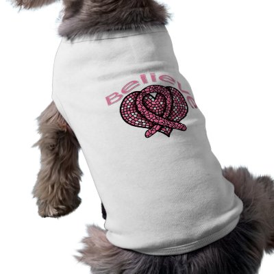 Believe Breast Cancer by giftsforawareness