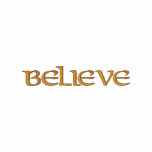 Believe Hoodie embroidered shirts