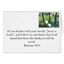 Believe in Jesus Cards