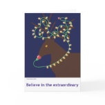 Believe in the extraordinary cards