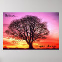 Believe in your dream posters