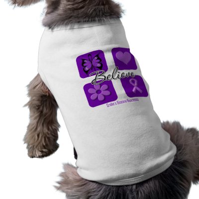 Believe Inspirations Crohn's Disease by cancerapparel