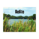Belise Post Card