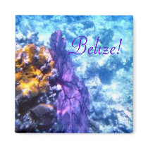 Belise! Purple Sea Fan