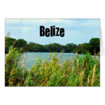 Belize Greeting Card
