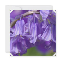 Bell Flower  Invitation
