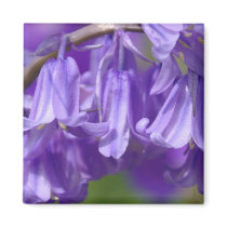 Bell Flower Square Magnet
