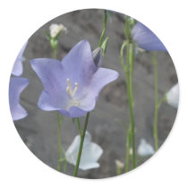 Bell flower round sticker