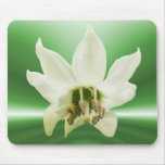 Bell Pepper flower ~ mousepad