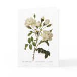 Bell Rose Card