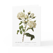 Bell Rose Card