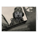 Bella As A 1940's Pilot Greeting Cards