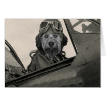 Bella As A 1940's Pilot