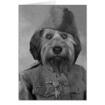Bella During WWI Greeting Cards