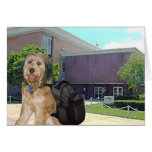 Bella Goes To College Greeting Cards