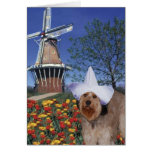 Bella In Holland cards