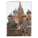 Bella In Moscow cards