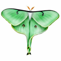 Bella Luna Moth Ornament