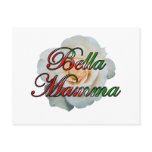 Bella Mamma Postcards