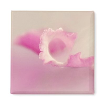 Bella Rosa Kühlschrankmagnet by TinaDeFortunata
