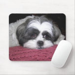 Belle The Shih Tzu mousepads