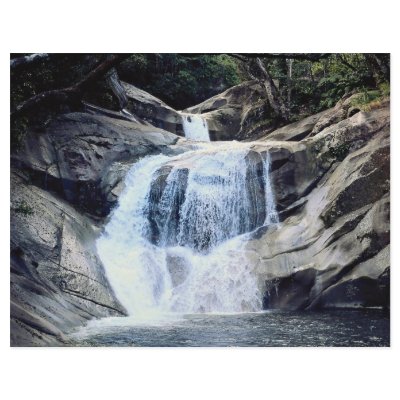 Bellenden Ker National Park, Josephine Falls, Aust Custom Flyer by beautifulclicks