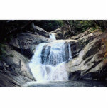 Bellenden Ker National Park, Josephine Falls, Aust Photo Cutout