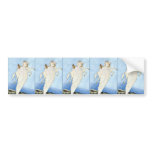 Bellerophon and Pegasus bumper stickers