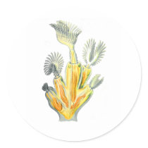 Bellflower or Crystal Moss Animal Stickers