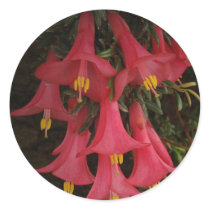 BELLFLOWER ROUND STICKERS