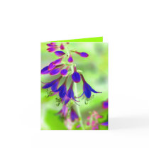 Bellflowers