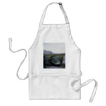 Bellingham Bridge, Pennine Way, Washington State, Apron