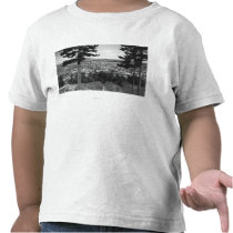 Bellingham, WA Town View from Sehome Hill Tshirts