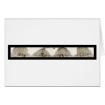 Bellingham Washington Photo 1909 Cards