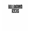 Bellingham Washington Rocks t-shirts
