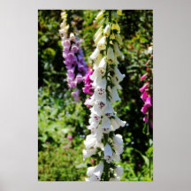 Bells of the Gardens Print